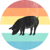 pig