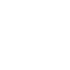 Motorcycle Evolution