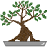 Bonsai Oberteil, perfektes Geschenk