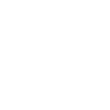 Lézard Gecko propriétaire