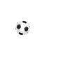 Coach football coach
