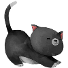 Kitten