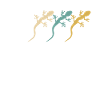 Gecko Gecko
