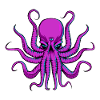 All seeing Octopus