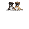 Boxer Dog Boxers Are My BFF