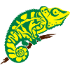 Chameleon