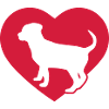 Coeur chiot chien