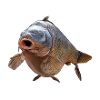 Carpe