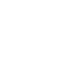 Baka - idiot