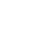 Evolution Segway