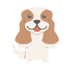 Cavalier King Charles Spaniel Geschenkidee
