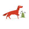 Irish Setter Gift Idea