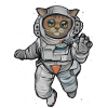 LILI THE CATSTRONAUT