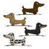 Dackeln