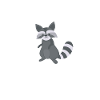 racoon