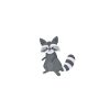 racoon