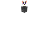 Dog funny animals