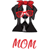 Grand Danois Femmes Grande Maman