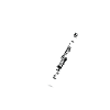 Clarinet heart