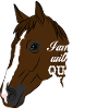 QUARTER HORSES