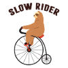 SLOW RIDER