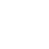 The Expert