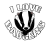 I love badgers gift
