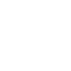 Constellation Leo