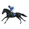 Cheval de race noire