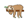 funny pictures sloth