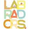 Labrador Chien Labradors