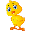 cute-chicken, sweet chicken