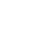 Pony Pferde Reiten