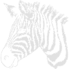 zebra light