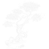 Bonsaï