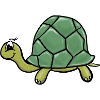 Turtles
