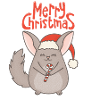 Chinchilla "Merry Christmas"