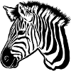 zebra dark