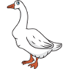 goose