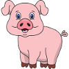 pig