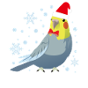 Cockatiel Santa