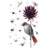 bird & fly