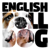 Bulldog III anglais
