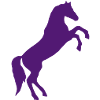 Cheval sauvage