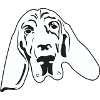 DOGGY DOG DOG