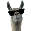 Cool Llama with sunglasses