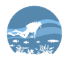 Diver