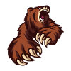 - Angry Bear - Grizzly Bear