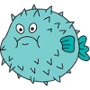 puffer fish