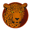 Gepard